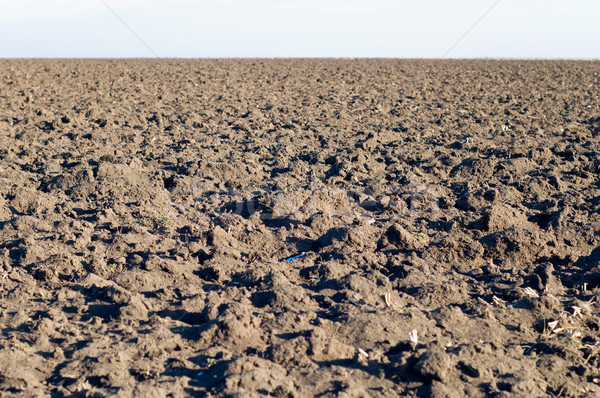 Stock photo: tillage