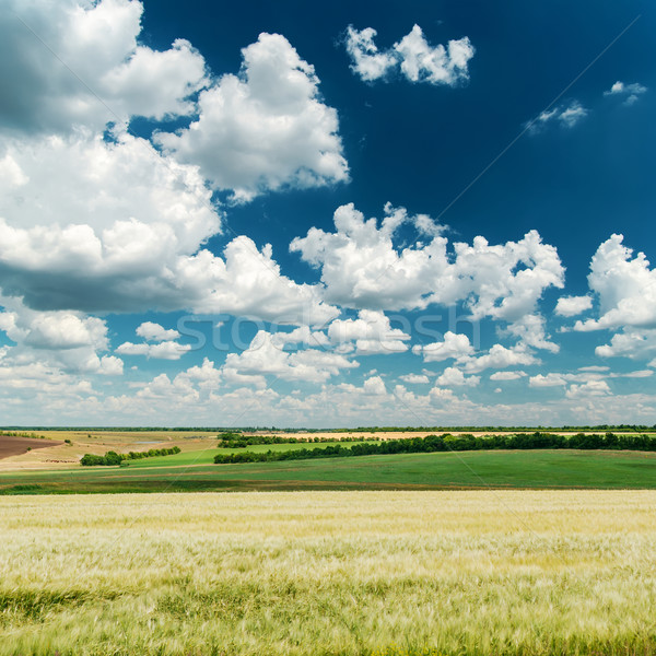 deep blue sky with clouds and green landscape Stock photo © mycola
