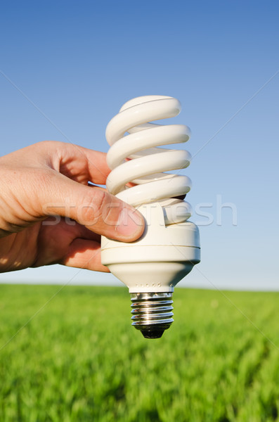 energy saving lamp in hand Stock photo © mycola