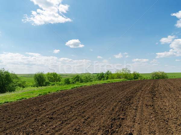 black plowed field and blue sky with clouds Stock photo © mycola
