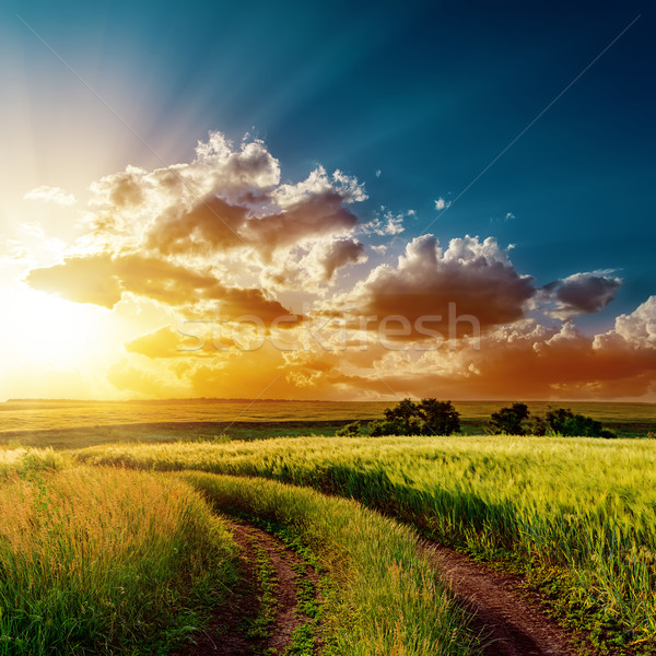 Dramático puesta de sol carretera campos cielo naturaleza Foto stock © mycola