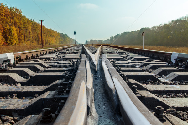 crossing of two railroads close up Stock photo © mycola