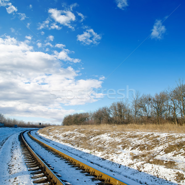 railroad to sunset. winter time Stock photo © mycola