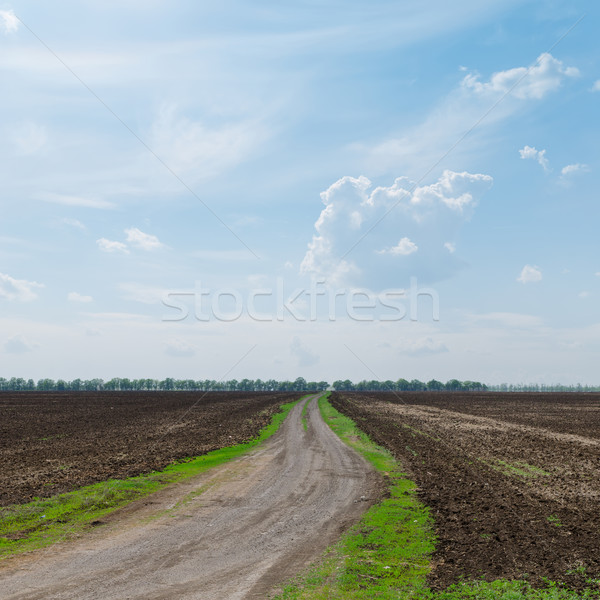 [[stock_photo]]: Horizon · nuageux · ciel · herbe · route