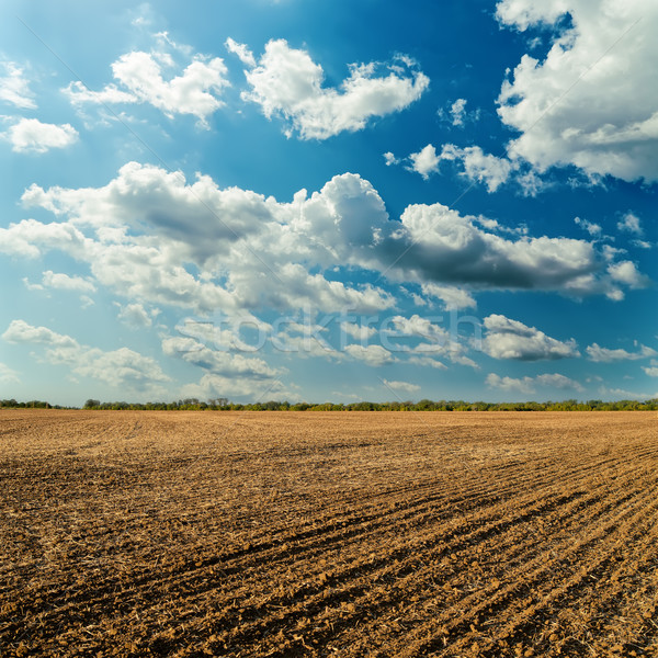 plowed field and cloudy sky in sunset Stock photo © mycola