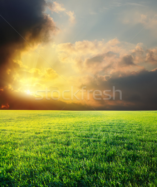 Puesta de sol dramático cielo verde campo hierba Foto stock © mycola
