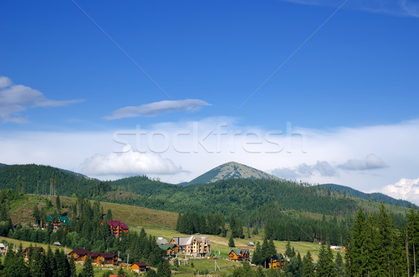 Beautiful green mountain landscape with trees in Carpathians Stock photo © mycola