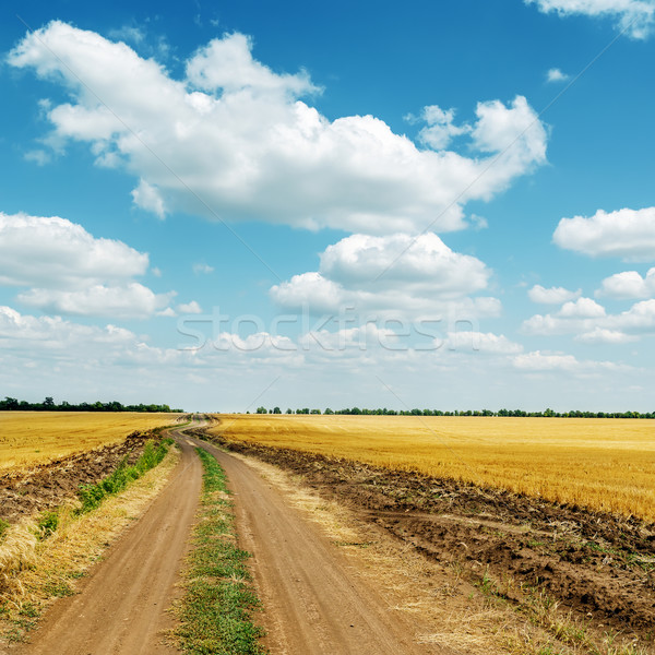 Brudne drogowego horyzoncie dziedzinie chmury Błękitne niebo Zdjęcia stock © mycola