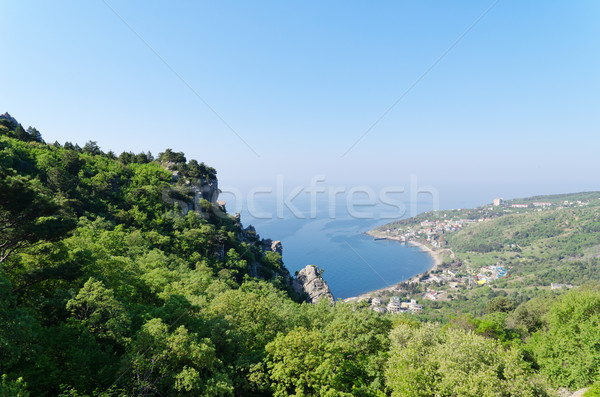 panorama from mountain Stock photo © mycola