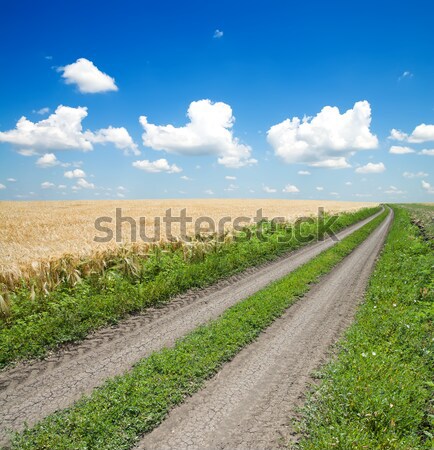 Сток-фото: сельский · дороги · весны · полях · облачный · небе