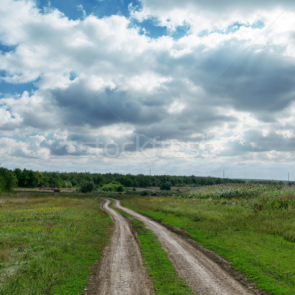 Dramatik gökyüzü yol çim orman manzara Stok fotoğraf © mycola