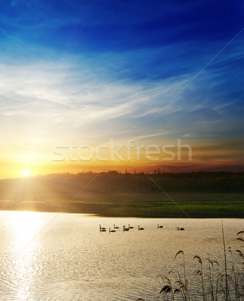 Dramatique coucher du soleil rivière paysage été bleu [[stock_photo]] © mycola