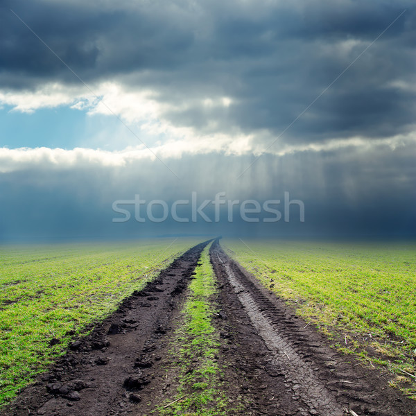 road in green field to low clouds in horizon Stock photo © mycola