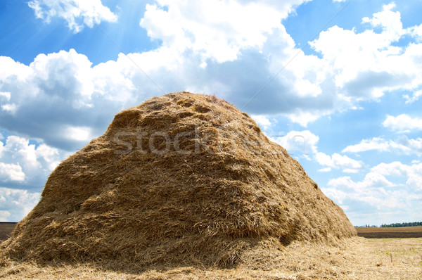 stack of straw on a background blue sky with clouds Stock photo © mycola