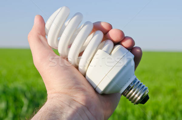 energy saving lamp in hand Stock photo © mycola