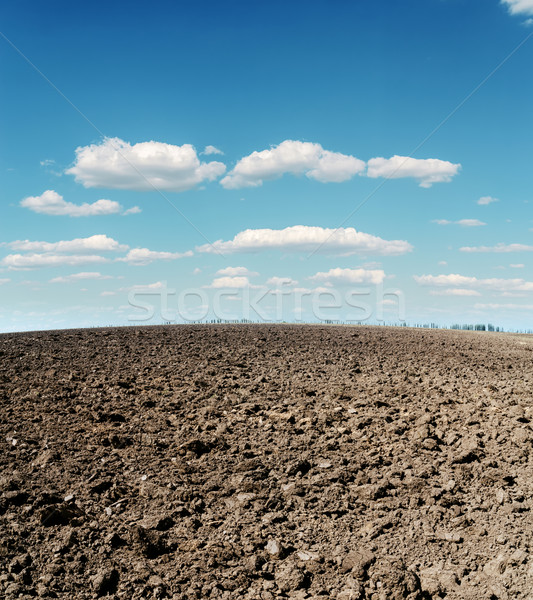 plowed field and cloudy sky Stock photo © mycola