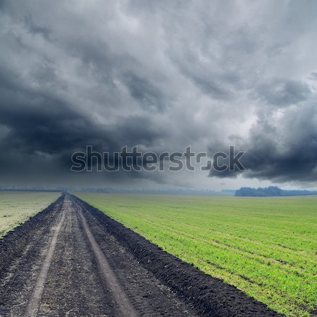 road in green fields to low rainy clouds Stock photo © mycola
