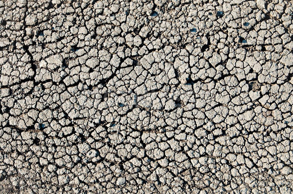 black craced textured earth Stock photo © mycola