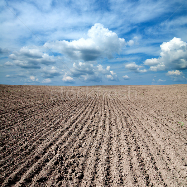 black ploughed field Stock photo © mycola