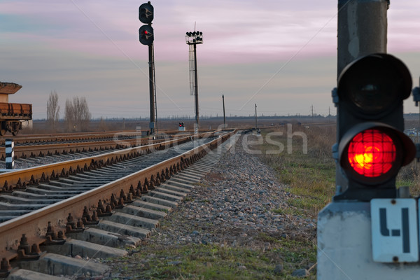 railroad track and stop light Stock photo © mycola