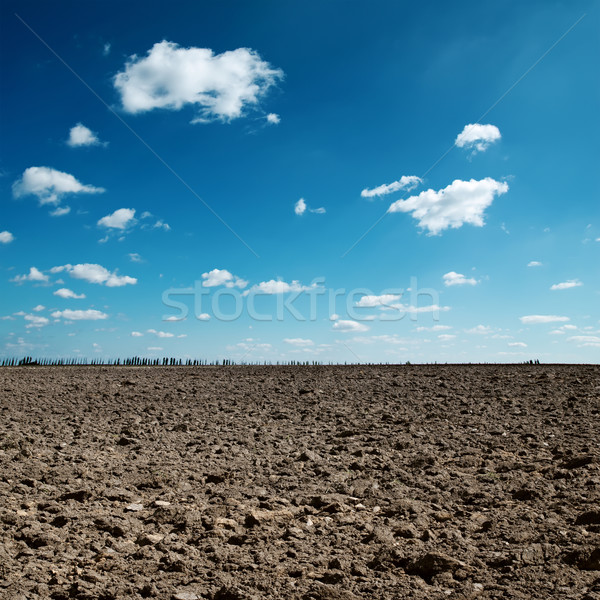 plowed field and blue sky Stock photo © mycola