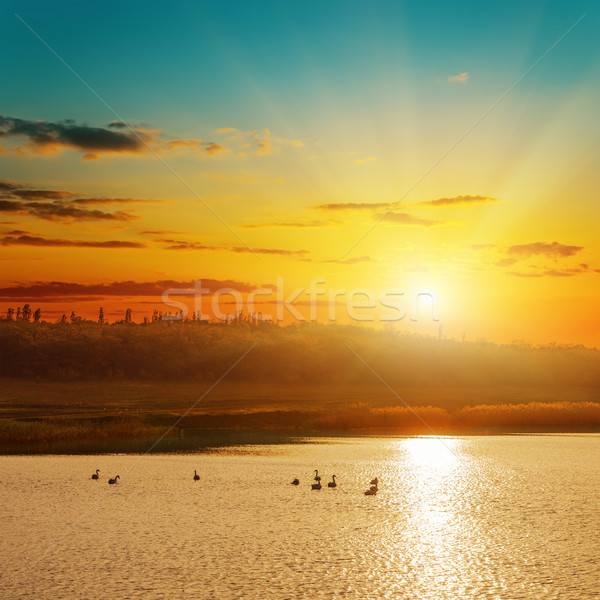Bon coucher du soleil étang nature paysage fond [[stock_photo]] © mycola