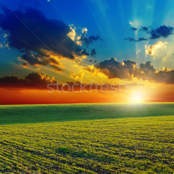 Foto stock: Pôr · do · sol · agrícola · verde · campo · primavera · grama