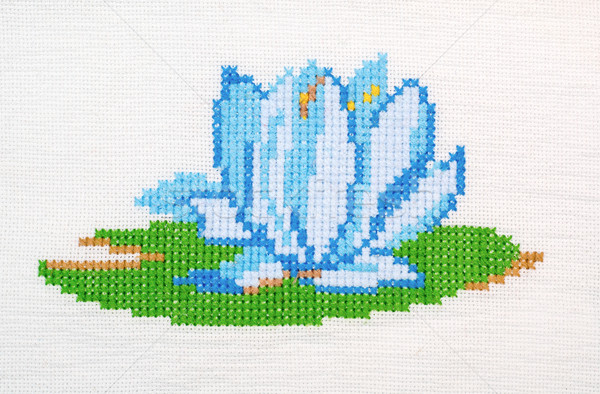 embroidered good by cross-stitch pattern Stock photo © mycola