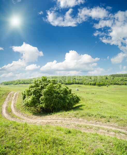 [[stock_photo]]: Route · horizon · ciel · herbe · forêt · nature