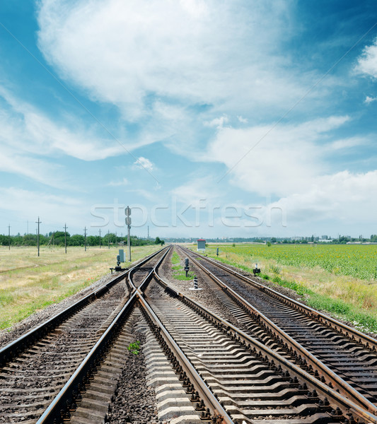 crossing of railroad to horizon under cloudy sky Stock photo © mycola