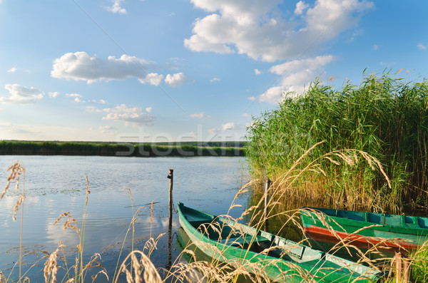 Mooie rivier oude boten groen gras bewolkt Stockfoto © mycola