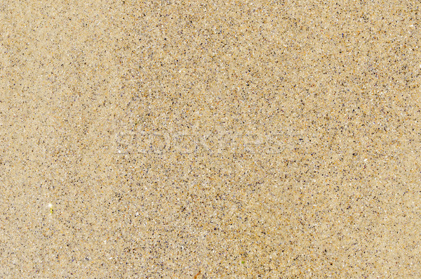 sand close up as textured background Stock photo © mycola