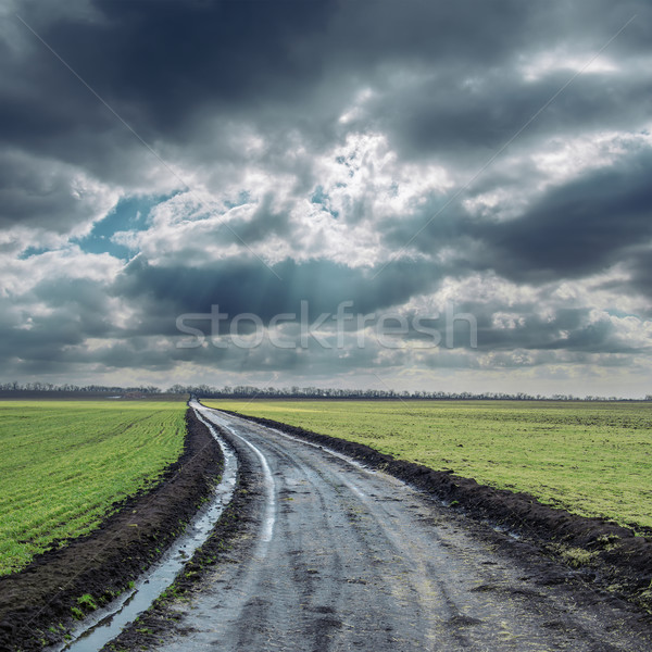 Kirli yol bulutlu ufuk yağmur çim Stok fotoğraf © mycola