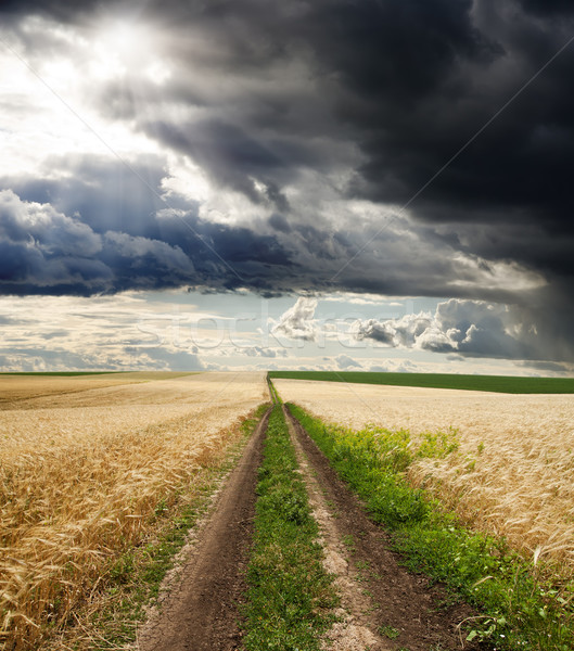 Rural rutier dramatic cer peisaj vară Imagine de stoc © mycola