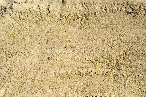 sand closeup as texture Stock photo © mycola