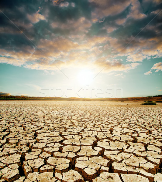 Calentamiento global dramático cielo agrietado tierra naturaleza Foto stock © mycola