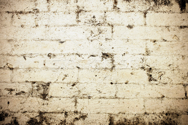 Grunge Wand Textur Stock foto © myfh88