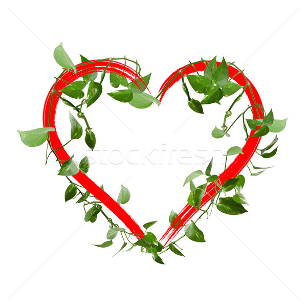 Green leaves  heart Stock photo © myfh88
