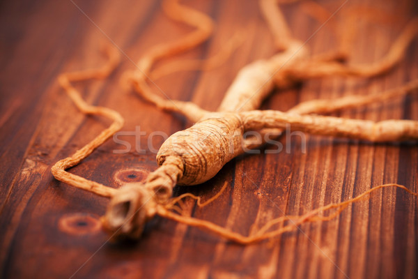Dry ginseng on a wood background Stock photo © myfh88