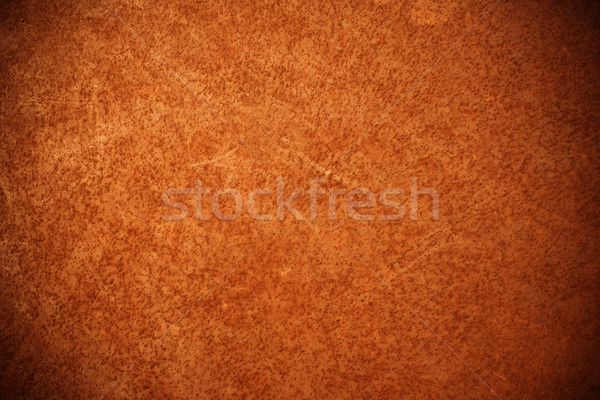 Rusty metal background  Stock photo © myfh88