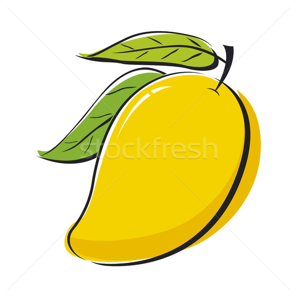 Mango diseno frutas fondo verde blanco Foto stock © myimagine
