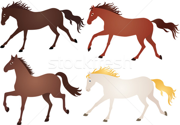 Running horses Stock photo © MyosotisRock