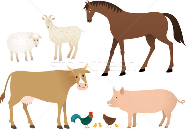 Farm animals Stock photo © MyosotisRock