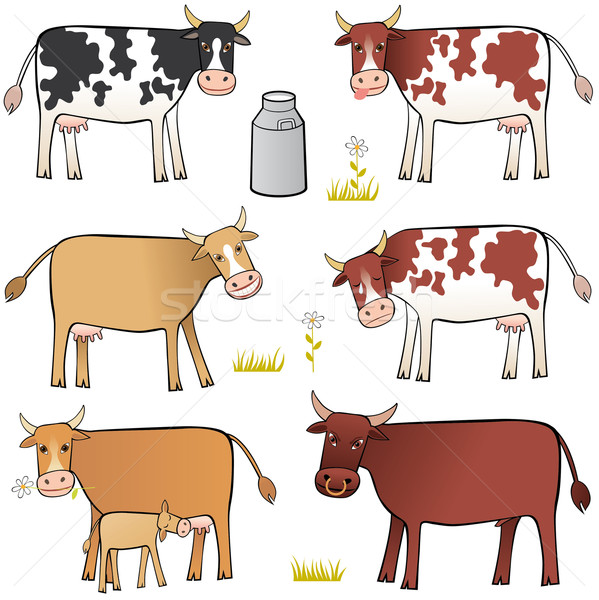 коров несколько различный настроение цветами бык Сток-фото © MyosotisRock