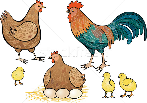Wektora obraz baby jaj ptaków kurczaka Zdjęcia stock © MyosotisRock