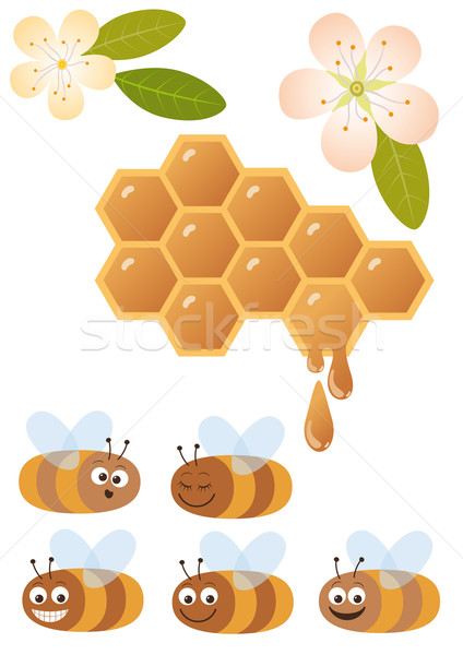 Méh étel természet csepp mosolyog folyadék Stock fotó © MyosotisRock