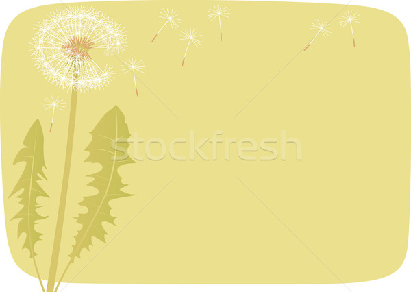 Löwenzahn Vergangenheit grünen Frühling Rahmen Stock foto © MyosotisRock