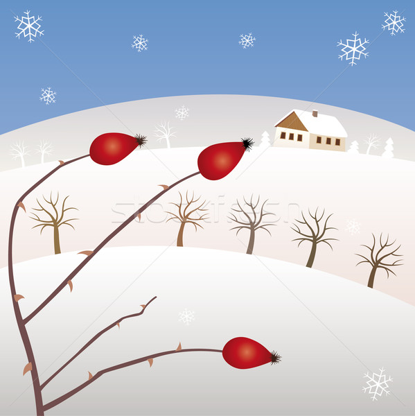 Zimą domu śniegu gospodarstwa christmas Zdjęcia stock © MyosotisRock