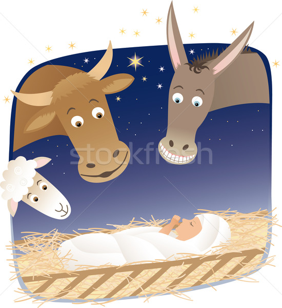 Tiere schauen wenig jesus Baby Kuh Stock foto © MyosotisRock