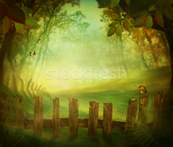 Spring design - Forest with wood fence Stock photo © mythja
